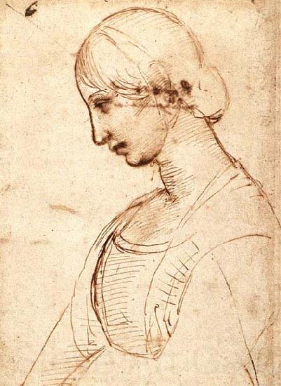 RAFFAELLO Sanzio Waist-length Figure of a Young Woman France oil painting art